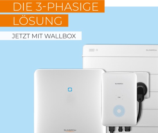 die 3-phasige Lösung 